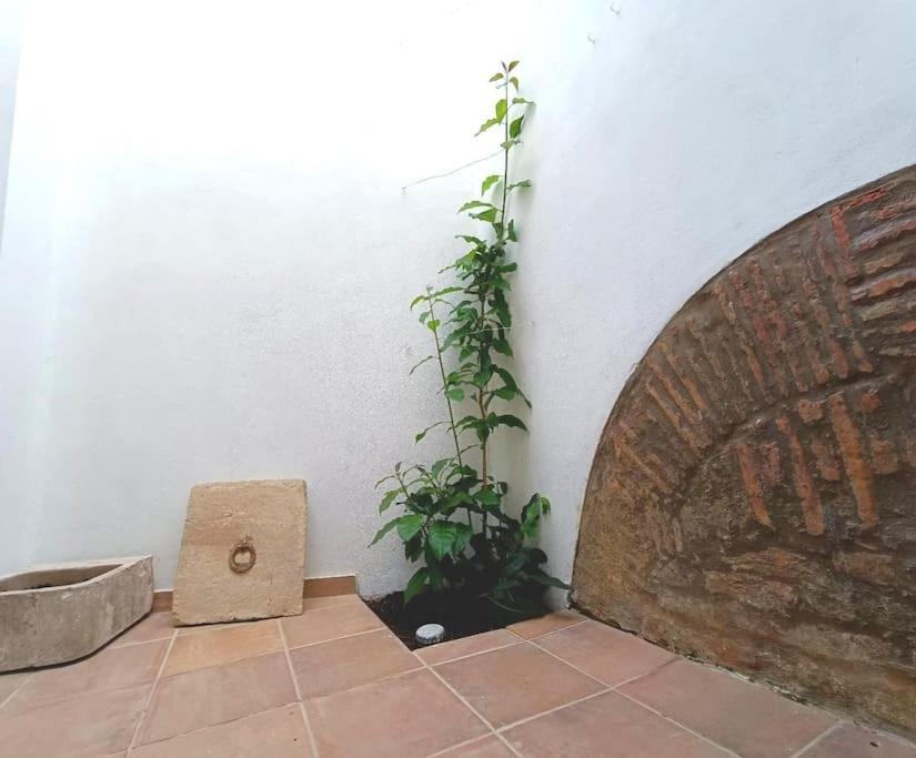 10 Maria - Faro Villa ภายนอก รูปภาพ