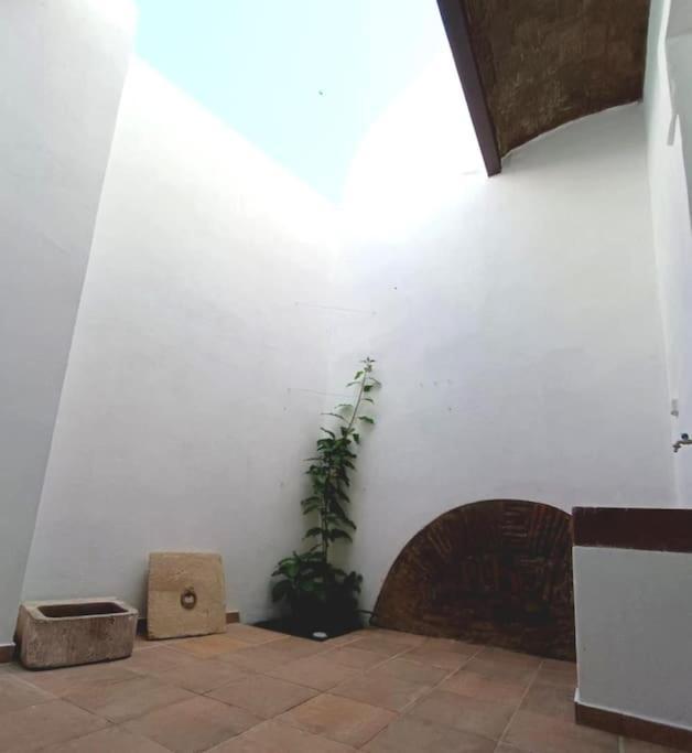 10 Maria - Faro Villa ภายนอก รูปภาพ